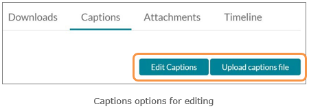 Captions options for editing